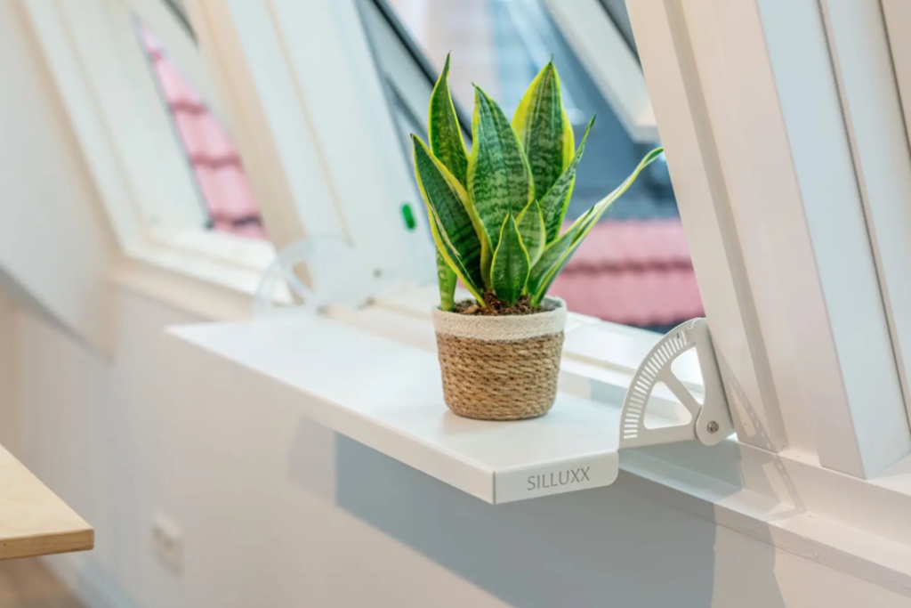 dakraam met binnenplant